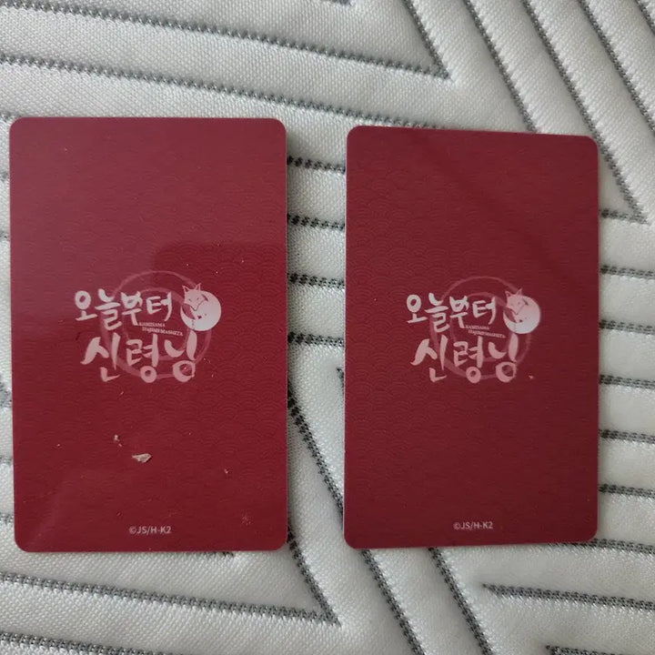 [BUNJANG] Kamisama Kiss Himemiko &amp; Dragon King Card Bundle Set / 오늘부터 신령님 히메미코 &amp; 용왕 카드 일괄판매