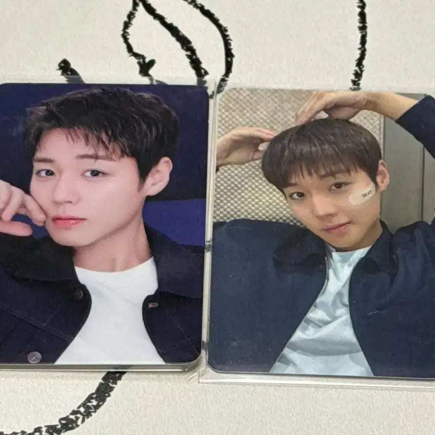 [BUNJANG] Park Jihoon Photocard / 박지훈 포카