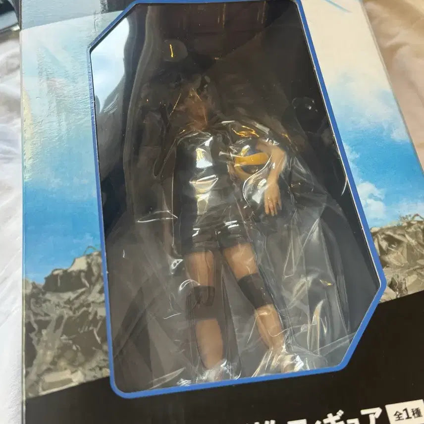 [BUNJANG] Haikyuu!! Karasuno High School&