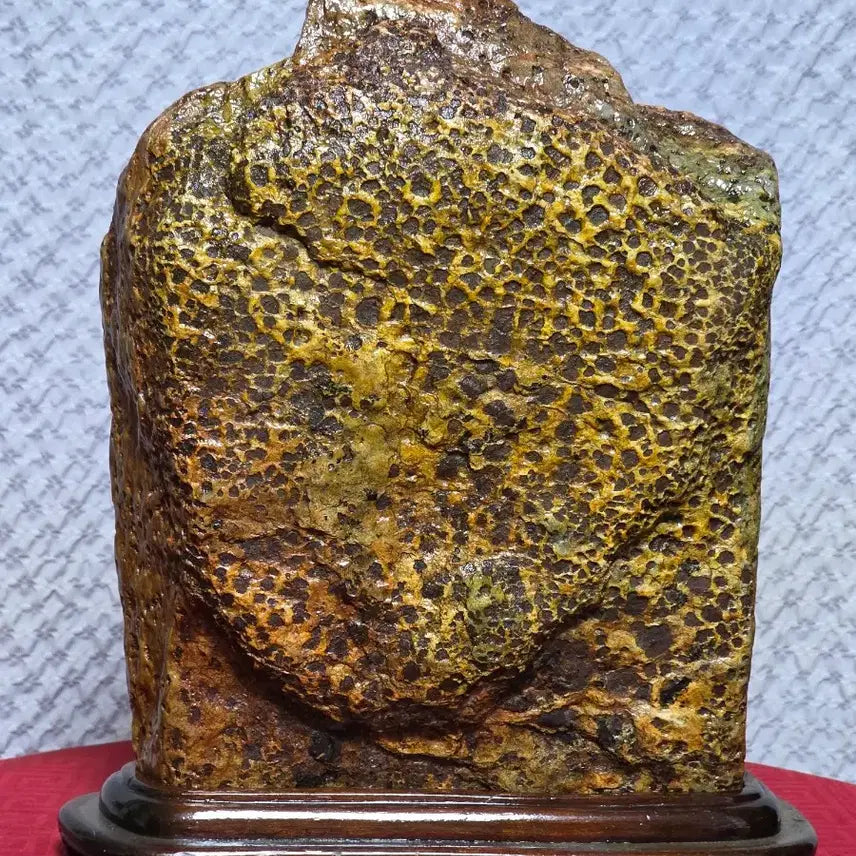 [BUNJANG] Sunchang Honeycomb Yellow Tiger Stripe Stone / 순창 벌집 황호피