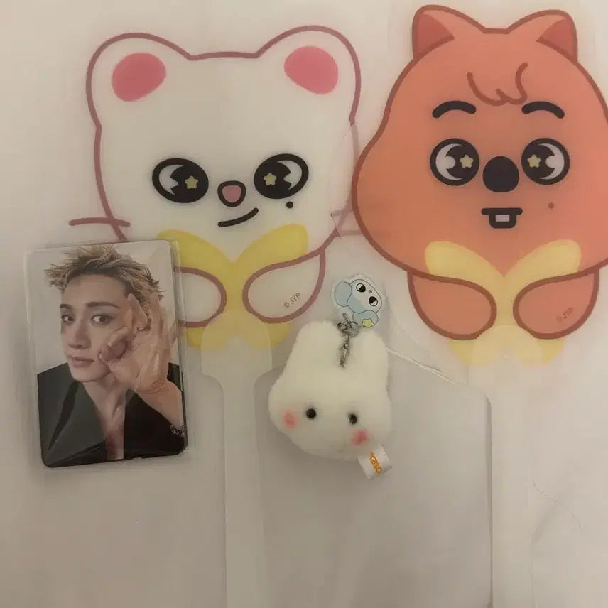 [BUNJANG] Stray Kids SKZ Concert Entrance Photocard Full Set / 스트레이키즈 스키즈 입장 포카 풀셋 콘서트 기프트 8월2일 일요일 막막 울프찬 리빗 한쿼카