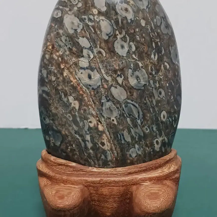 [BUNJANG] Yeongdeok Plum Orchid Stone (Maewah Gongjakseok) / 꽃돌(영덕/매화공작석)