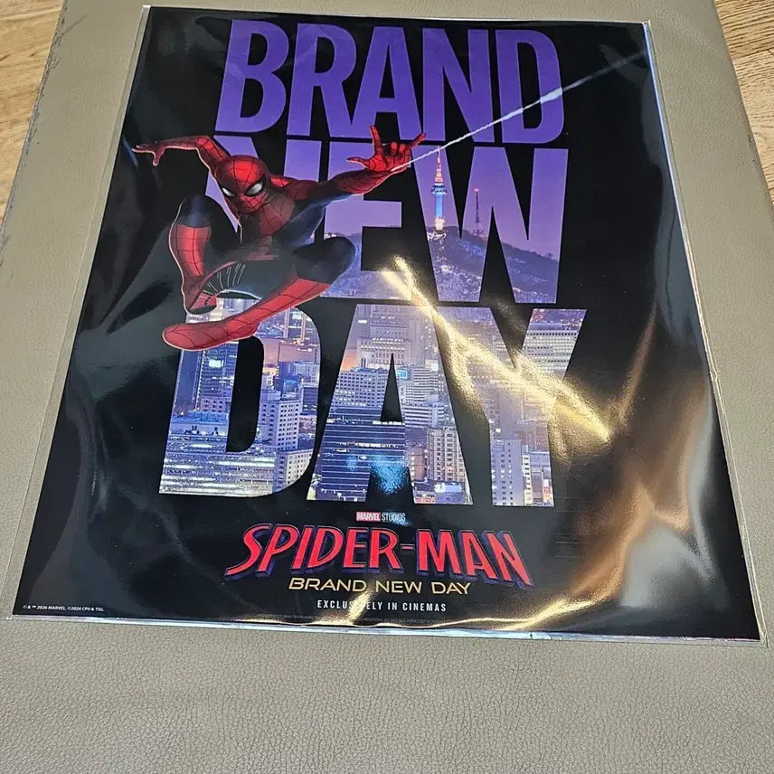 [BUNJANG] Spiderman PET Poster / 최저가)스파이더맨 pet 포스터