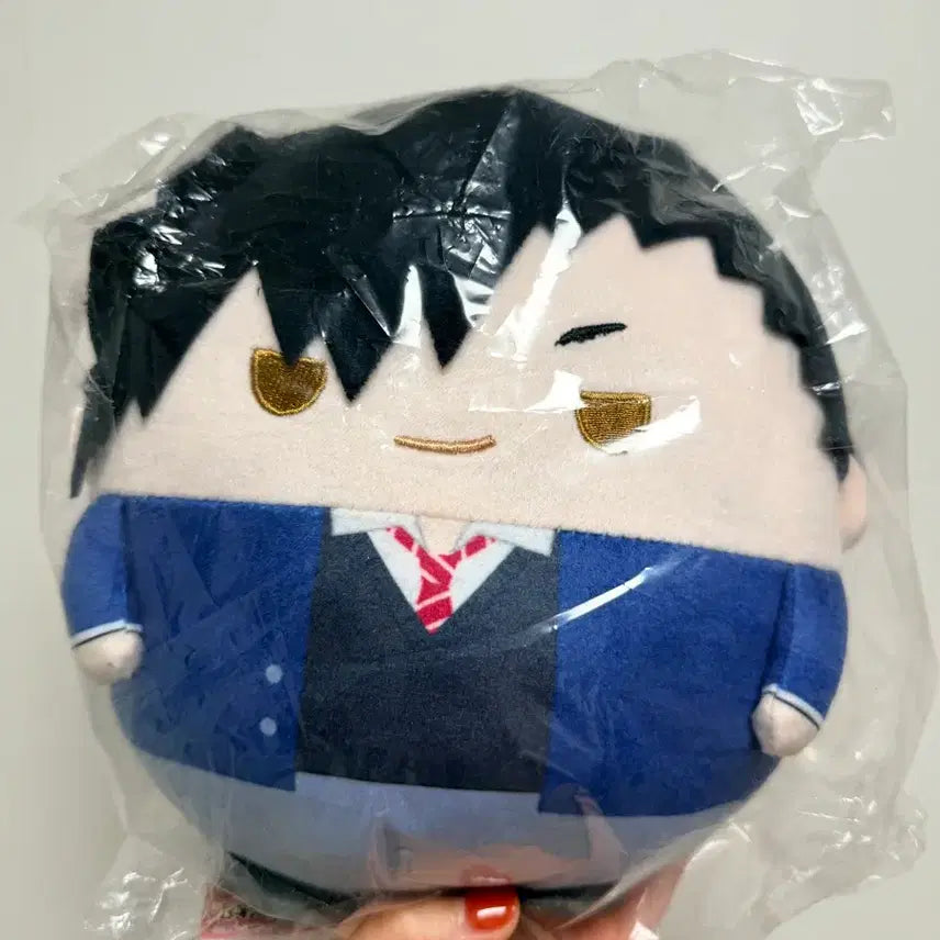 [BUNJANG] Haikyuu!! Kuroo Fwacoro M Uniform Version Plush - Sealed / 하이큐 후와코로링M 교복버전 쿠로오 미개봉