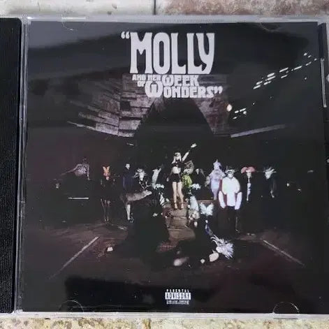 [BUNJANG] Molly Santana Molly And Her Weak Of Wanders (Imported) / Molly Santana - Molly And Her Weak Of Wanders (수입반)