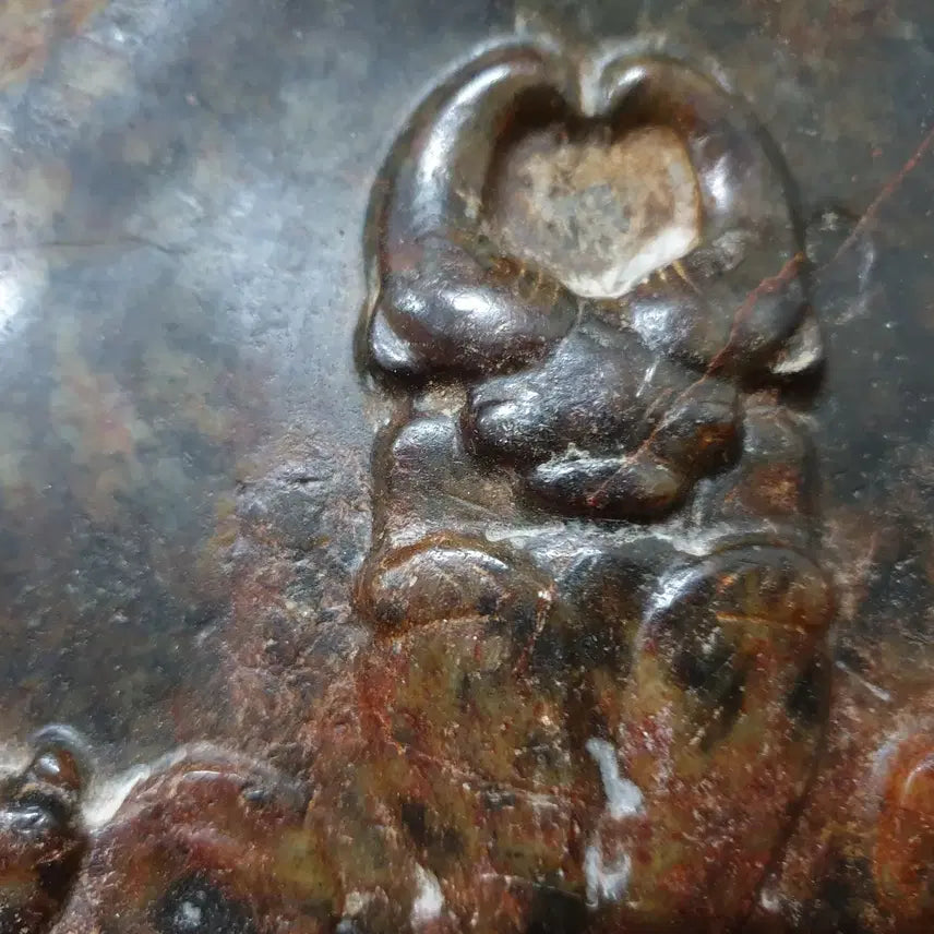 [BUNJANG] Hongshan Jade Animal Carving on Excavated Tortoise Shell / (수원만물)출토 거북등에 조각된 동물상 홍산옥기