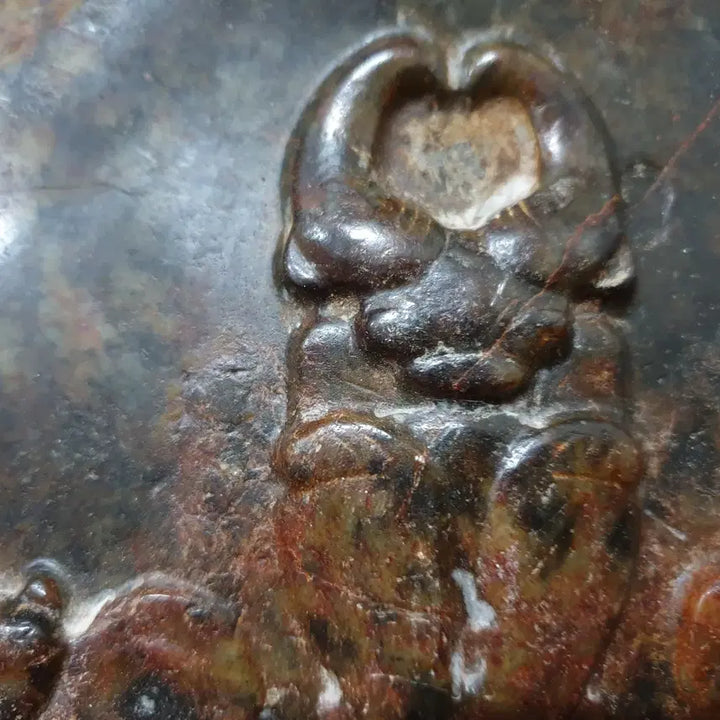 [BUNJANG] Hongshan Jade Animal Carving on Excavated Tortoise Shell / (수원만물)출토 거북등에 조각된 동물상 홍산옥기