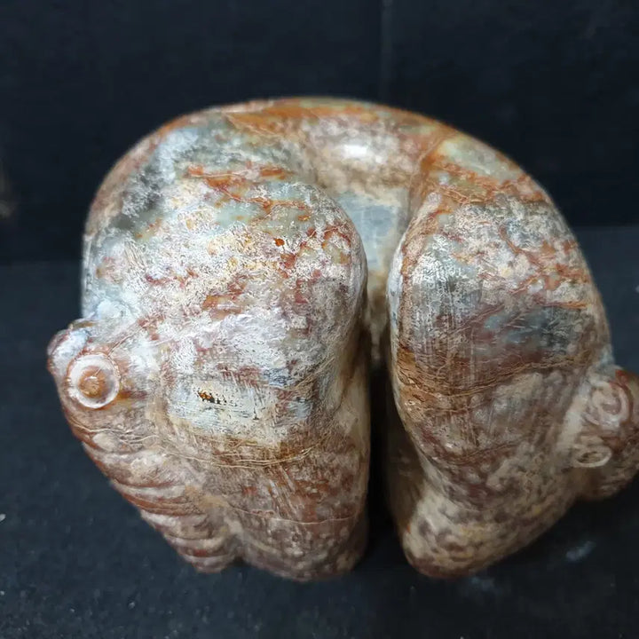 [BUNJANG] Hongshan Culture Jade Artifact / (수원만물)출토 박물관급의 홍산문화 옥기