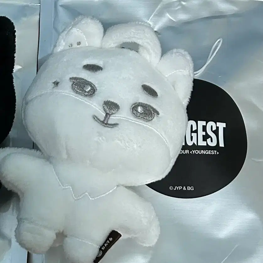 [BUNJANG] YOUNG K Angel Demel Secret Doll / 영기스트 영케이 시크릿인형 천사데멀케