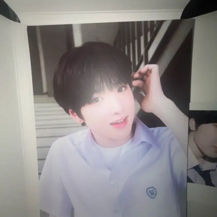[BUNJANG] Sakura School of Wish Postcard / 사쿠야 스쿨오브위시 포스트카드