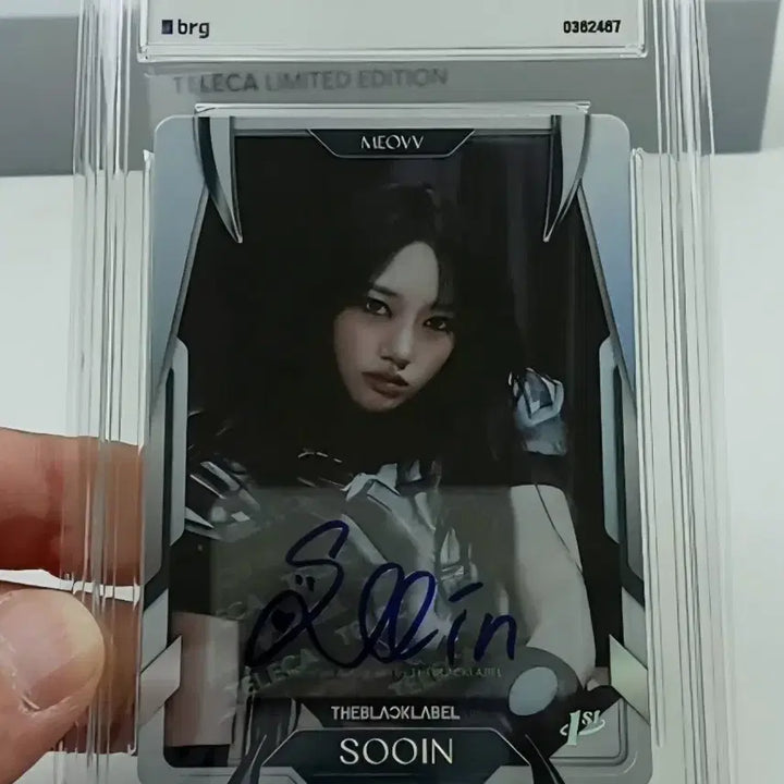 [BUNJANG] Terroca Miyaho Suin 2026 Limited Edition Signature Print Auto Card Bundle Set / 바로발송)) 2026 테레카 KPOP 미야오 수인 오토 / 99한정 시그니처 인쇄오토 / SP 레코드싱글 / 99한정 팀카드 리미티드