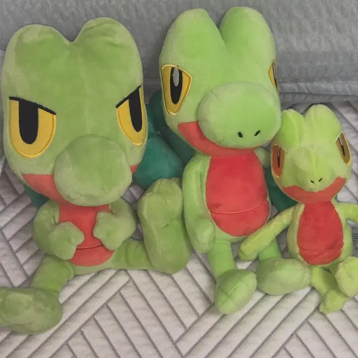 [BUNJANG] Namujigi Fit + Super Secret Base + 3rd Gen Starter Pokemon Plush Bundle Set / (일괄) 나무지기 fit+슈퍼비밀기지 + 3세대 스타팅 포켓몬