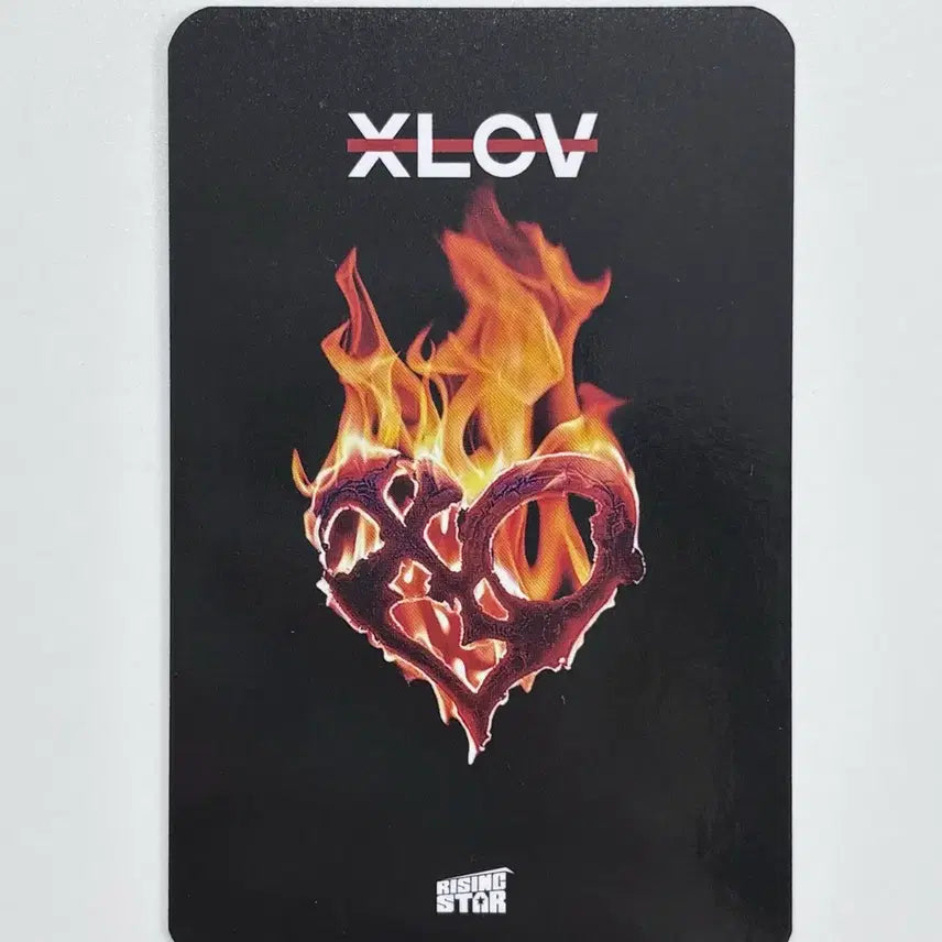 [BUNJANG] XLOV WUMUTI Fan Meeting POB Photocard / XLOV 엑스러브 WUMUTI 우무티 팬미팅 특전 포카 포토카드