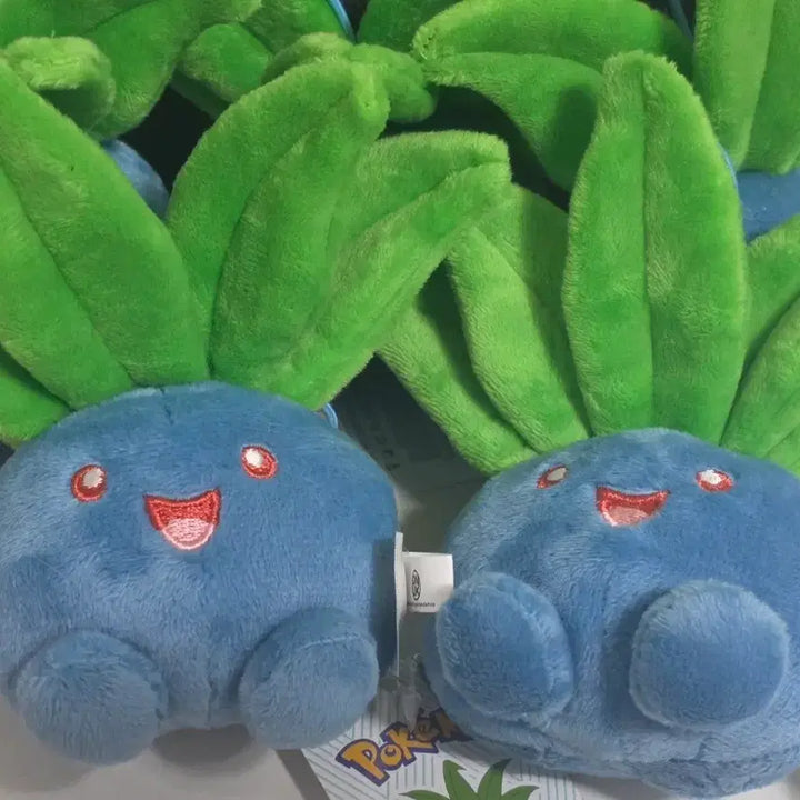 [BUNJANG] Pokemon Turtwig Plush (Set of 2) / 뚜벅쵸 2개 9000원