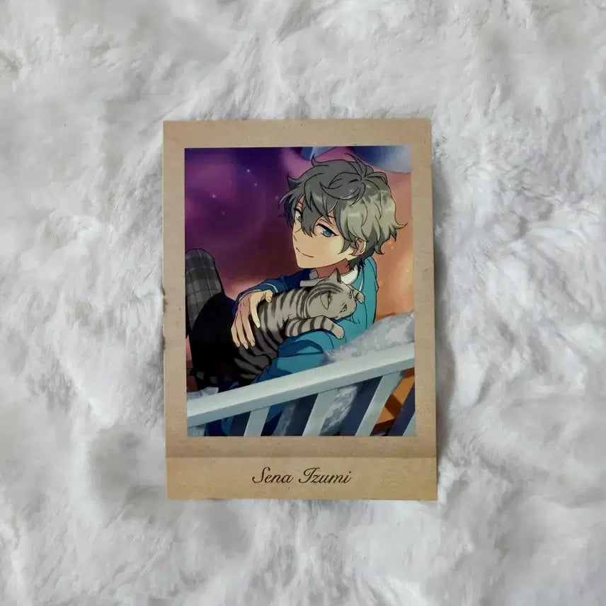 [BUNJANG] Ensemble Stars! Pashacolle Izumi Sena Knights Memory Memorial Offshot Checkmate / 앙스타 파샤코레 추억 세나 이즈미 나이츠 각전 메모리얼 오프샷 체크메이트