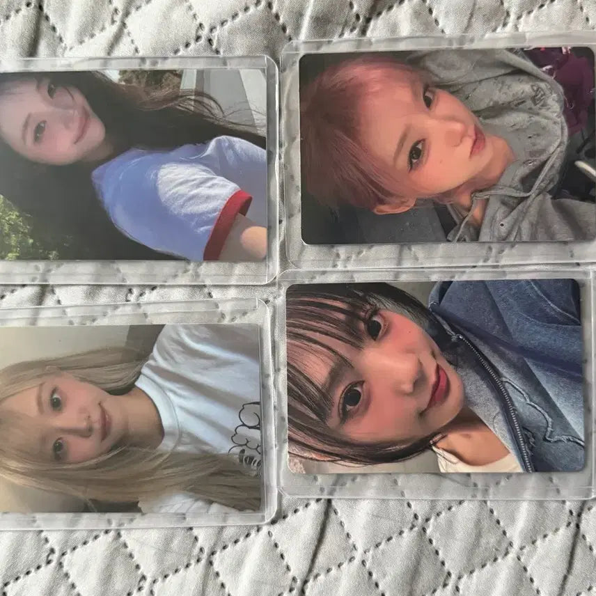 [BUNJANG] QWER Woori Bank Photocard Set / qwer 우리은행 포토카드