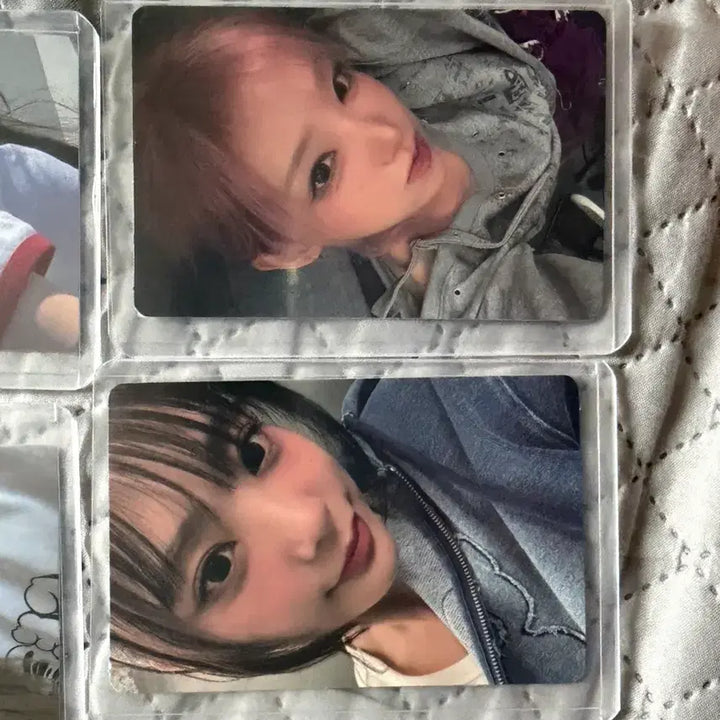 [BUNJANG] QWER Woori Bank Photocard Set / qwer 우리은행 포토카드