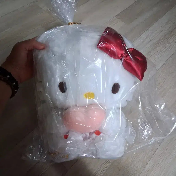 [BUNJANG] Hello Kitty Plush Doll / 헬로키티 봉제인형 (무료배송)