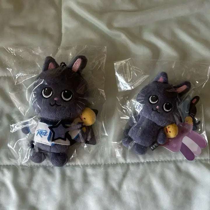 [BUNJANG] RIIZE Wonbin Baby RIRIZ 10cm &amp; 8cm Bundle Set Keyrings / 미개봉 일괄)라이즈 원빈 토냥덕 베이비 리라즈 10cm 8cm 일괄