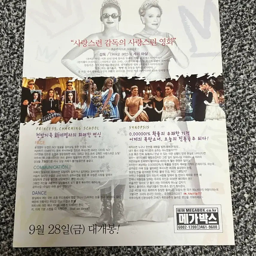 [BUNJANG] The Princess Diaries Movie Flyer / 프린세스 다이어리 영화 전단지