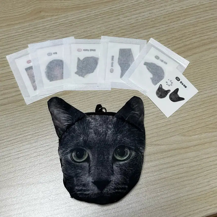 [BUNJANG] Dana Dana (Dan Hana) Etude Goods Coin Pouch / Sticker Set / 유튜버 다나나(단하나) 에뛰드 굿즈(동전지갑/띠부씰)