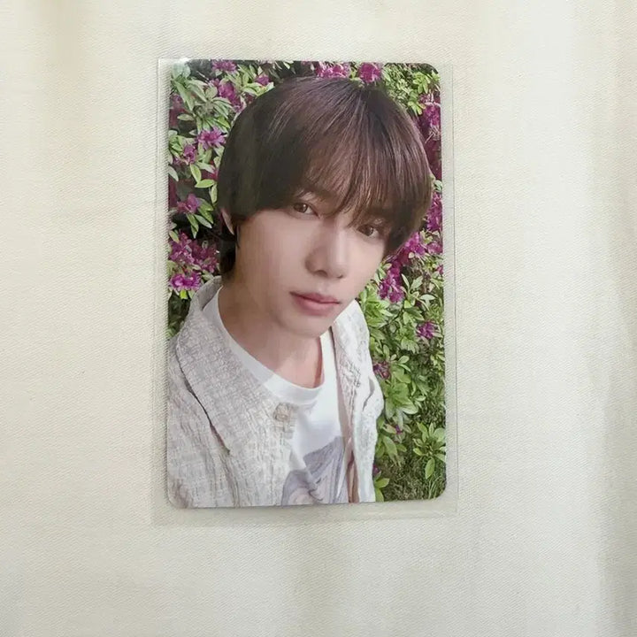[BUNJANG] TXT (TOMORROW X TOGETHER) Japan Album &
