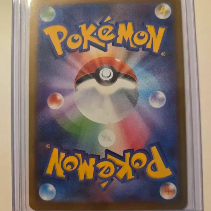 [BUNJANG] Pokemon Card Japanese Tirtouga / 일판 포켓몬카드 거북손손