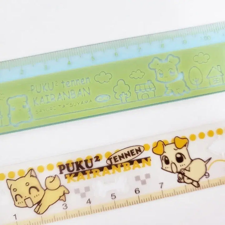 [BUNJANG] Pukupuku Natural Review Plan Template Ruler Set / 고전 푸쿠푸쿠 천연회람판 템플릿 자 2P