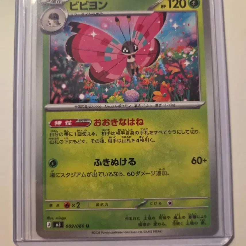 [BUNJANG] Japanese Edition Vivillon Pokemon Card / 일판 포켓몬카드 비비용