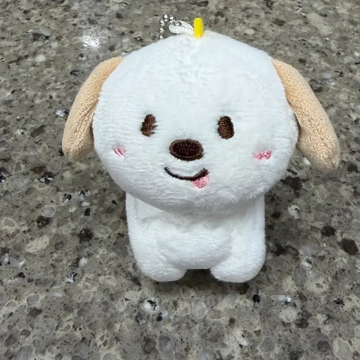 [BUNJANG] RIRAZ 1st Generation "Meongryong" 10cm Doll / 라이즈 리라즈 앤톤  1기 멍룡이 10cm  외출x
