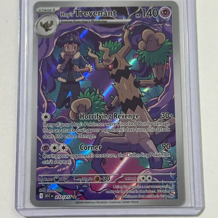 [BUNJANG] Pokemon Ascended Heroes Hop&