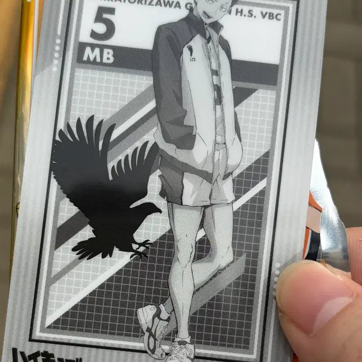 [BUNJANG] Satori Card / 텐도 사토리 카드