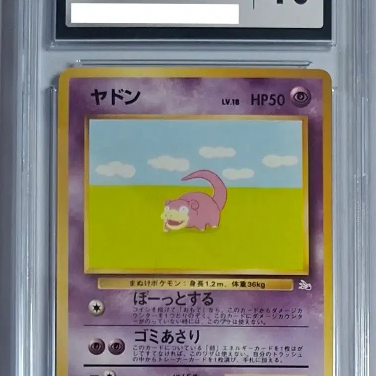 [BUNJANG] 1997 Fossil Slowpoke CGC 10 First Edition Pokemon Card (Japanese) / 일판 1997 포실 야돈 cgc10 초판 포켓몬 카드 psa 화석 야돈