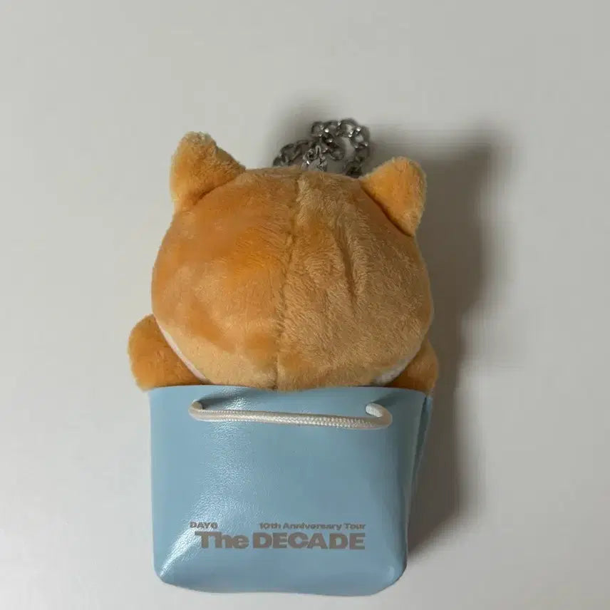 [BUNJANG] DAY6 Young K Japan MD Bag Charm Keychain / 영케이 일본md 백참 케 키링