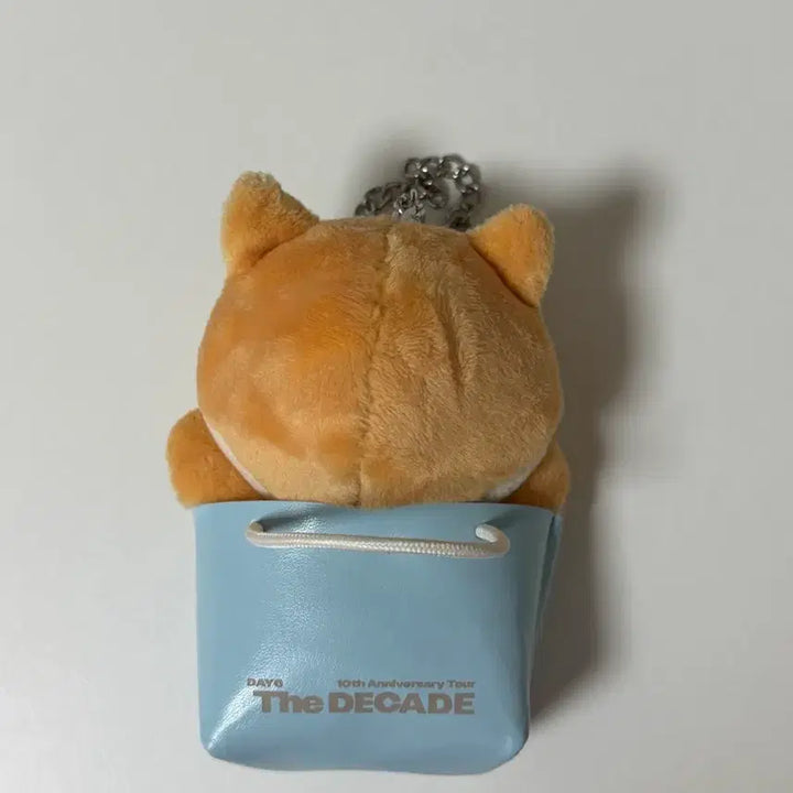 [BUNJANG] DAY6 Young K Japan MD Bag Charm Keychain / 영케이 일본md 백참 케 키링