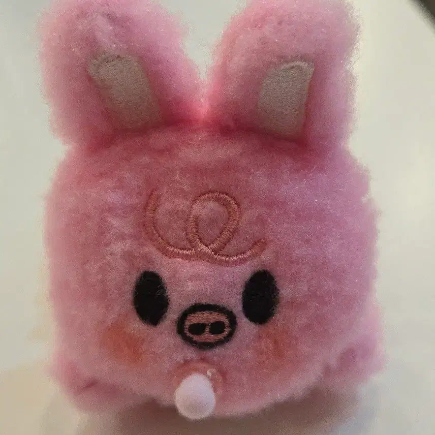 [BUNJANG] Stray Kids SKZOO Changbin Secret Wind-Up Plush - Run It / 스트레이키즈 SKZ 돼끼 창빈 윈드업 태엽 인형 런잇 SKZOO SECRET WIND-UP PLUSH - RUN IT