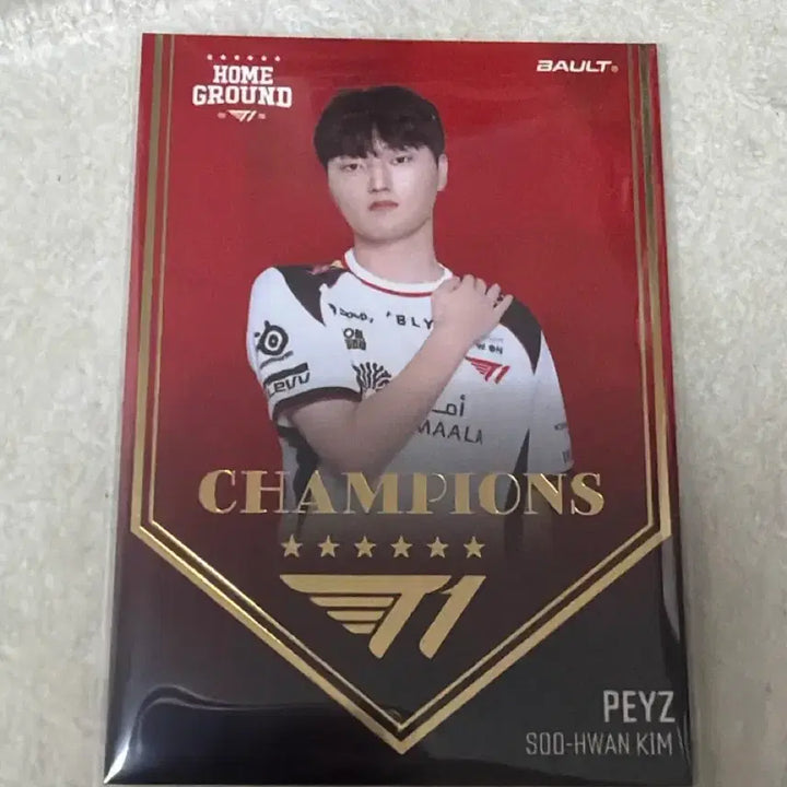 [BUNJANG] T1 Faker Champions Photocard / 티원 홈그라운드 bault 챔피언스 포토카드 포카 페이즈 peyz