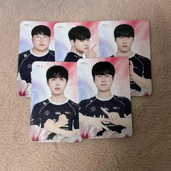 [BUNJANG] HLE Hanwha Life Esports Gwangbokjeol Photocard Set (Gumaayusi, Zeus, Zeka, Kanavi, Delight) / HLE 한화생명 광복절 포토카드 한생 구마유시 제우스 제카 카나비 딜라이트