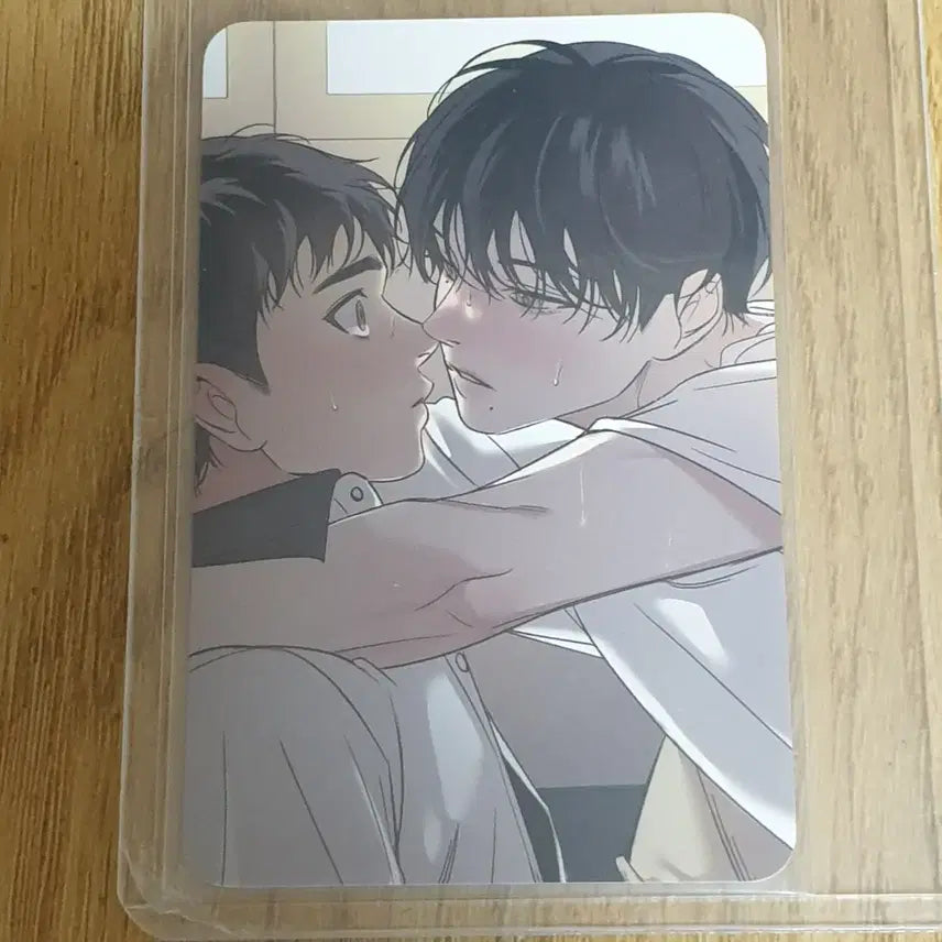 [BUNJANG] LE SSERAFIM Backlight Special Photocard Bundle Set / 백라이트 레봄 특전포카 아밝특전포카