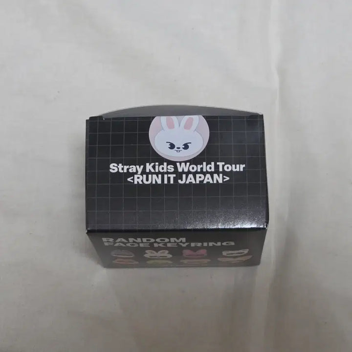 [BUNJANG] Stray Kids Japan Run 2 World Tour Random Keyring LeeKnow Ribbit / 스트레이키즈 재팬 런잇 월드투어 랜덤 스키주 페이스 키링 리빗 리노