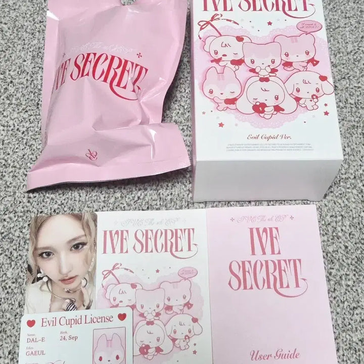 [BUNJANG] IVE Yujin Gaeul Dael Dal Mini Photocard Holder / 아이브 시크릿  아부부 가을 달이 미개봉 판매