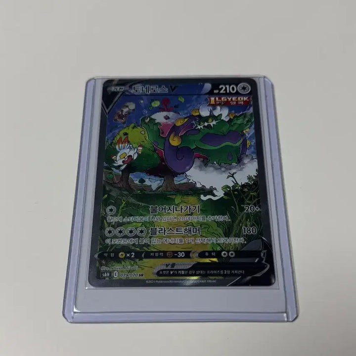 [BUNJANG] Tornadus SR Special Illustration Card / 포켓몬카드 토네로스 sr 특일 판매합니다