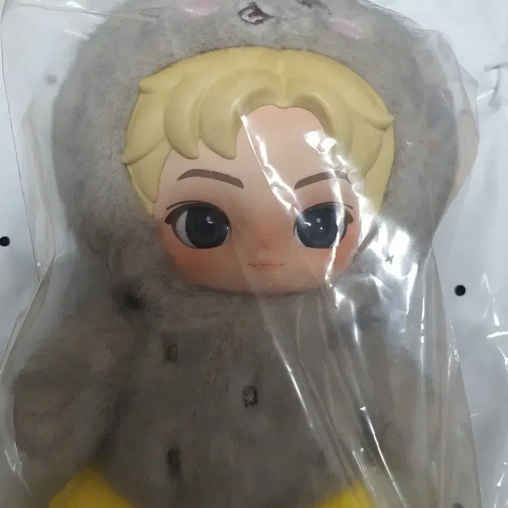 [BUNJANG] RIIZE POPMART Song Yongdori Original Price Transfer / 라이즈 팝마트 송용돌이 원가양도