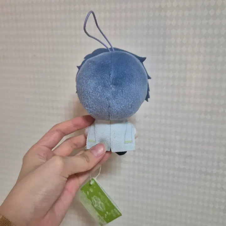 [BUNJANG] Mahoyaku Figaro Kiradooru Plush / 마법사의 약속 마호야쿠 피가로 키라도루 누이
