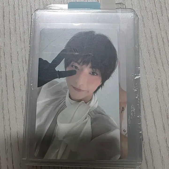 [BUNJANG] Xdinari Deadend Love to Death Odd Bundle Set Photocards / 엑디즈 데드앤드 럽투데스 오드 포카 일괄판매
