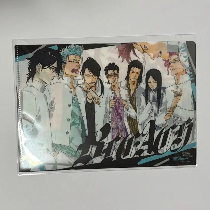 [BUNJANG] Bleach Mini Clear File A5 / [블리치] 미니 클리어파일 A5
