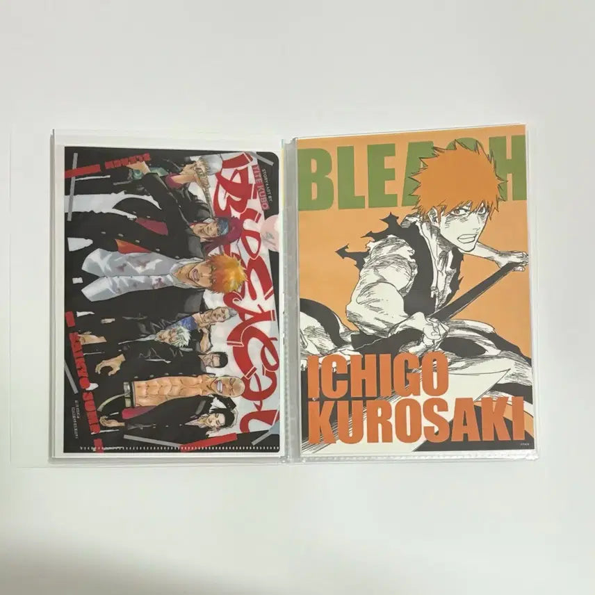 [BUNJANG] Bleach Mini Clear File A5 / [블리치] 미니 클리어파일 A5