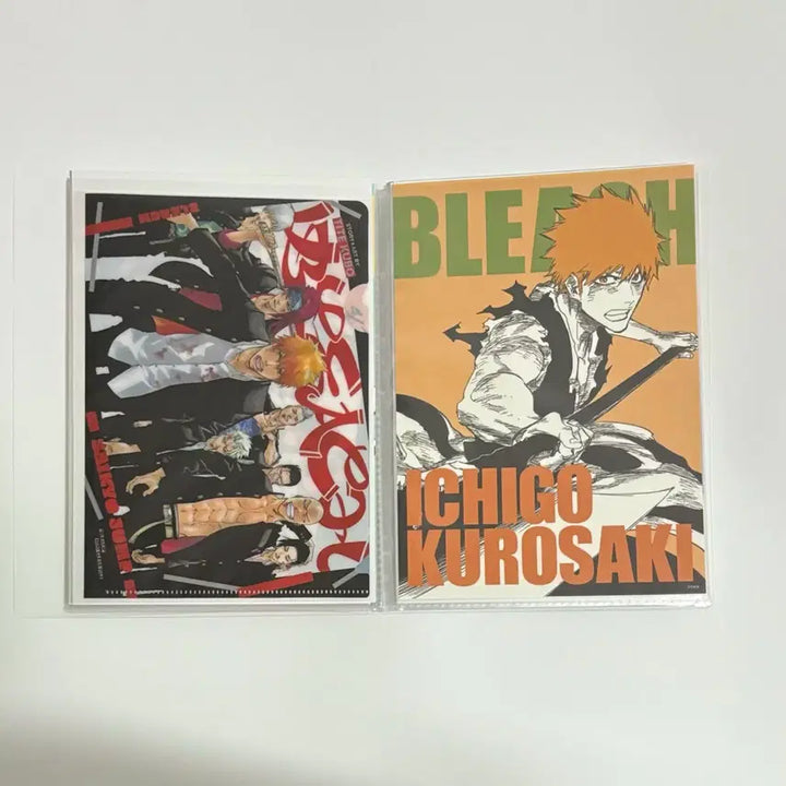 [BUNJANG] Bleach Mini Clear File A5 / [블리치] 미니 클리어파일 A5