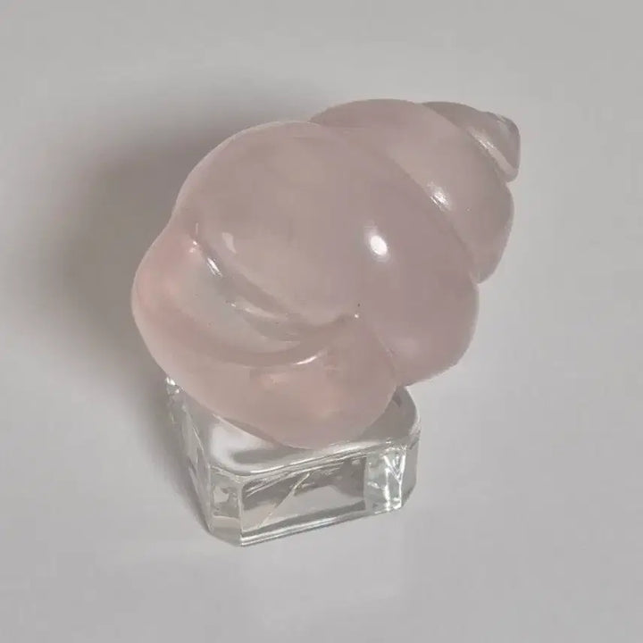 [BUNJANG] Natural Rose Quartz Shell Carving Interior Object / 스타 젤리 로즈쿼츠 기라솔 소라 카빙 천연 원석 조개 장미수정 인테리어 오브제 소품 선물 광물