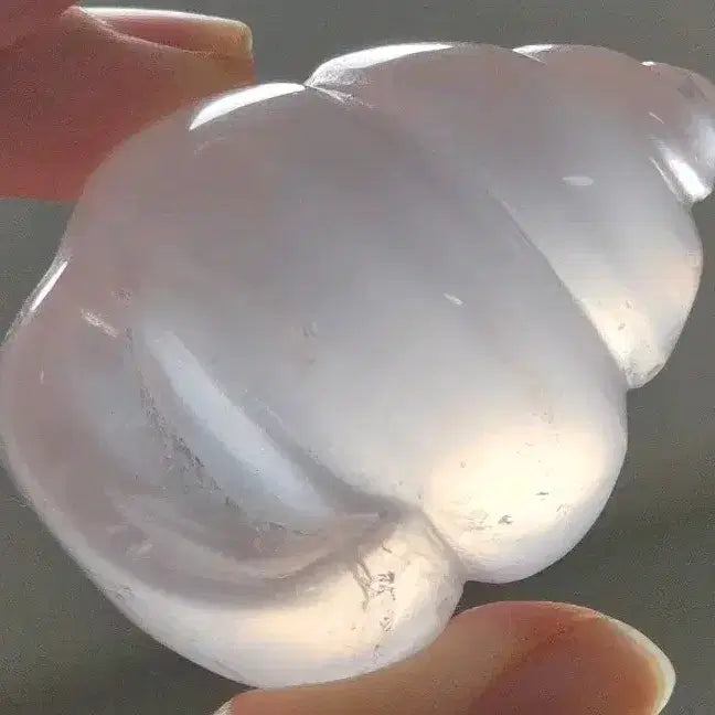 [BUNJANG] Natural Rose Quartz Shell Carving Interior Object / 스타 젤리 로즈쿼츠 기라솔 소라 카빙 천연 원석 조개 장미수정 인테리어 오브제 소품 선물 광물